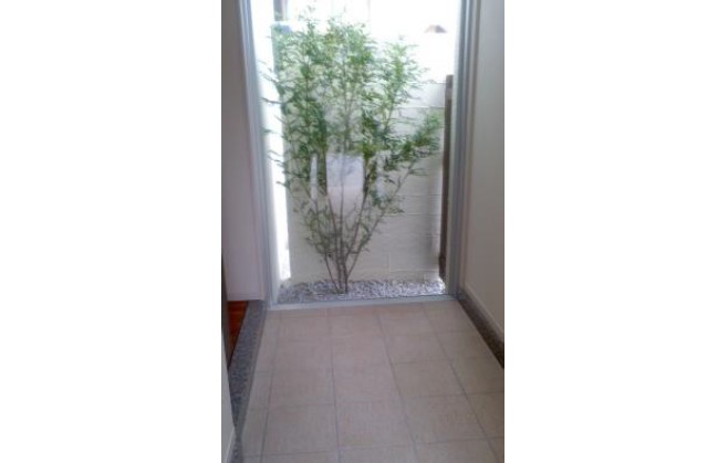 cut2017_0327_1036_36