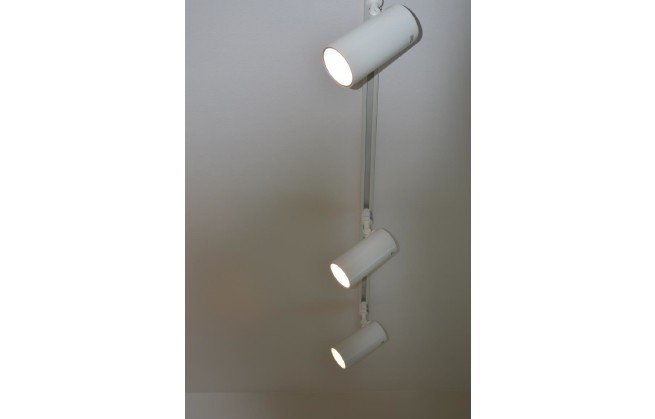 cut2017_0327_1117_36